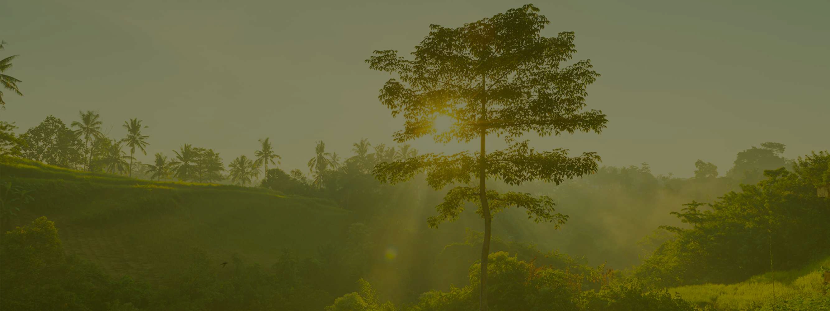 Sustainibilty