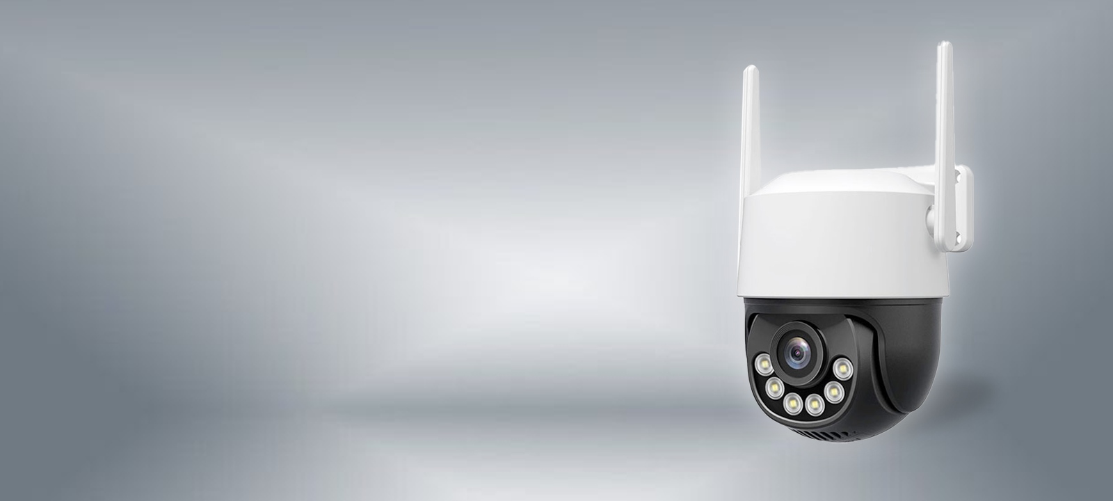 Internet Cameras